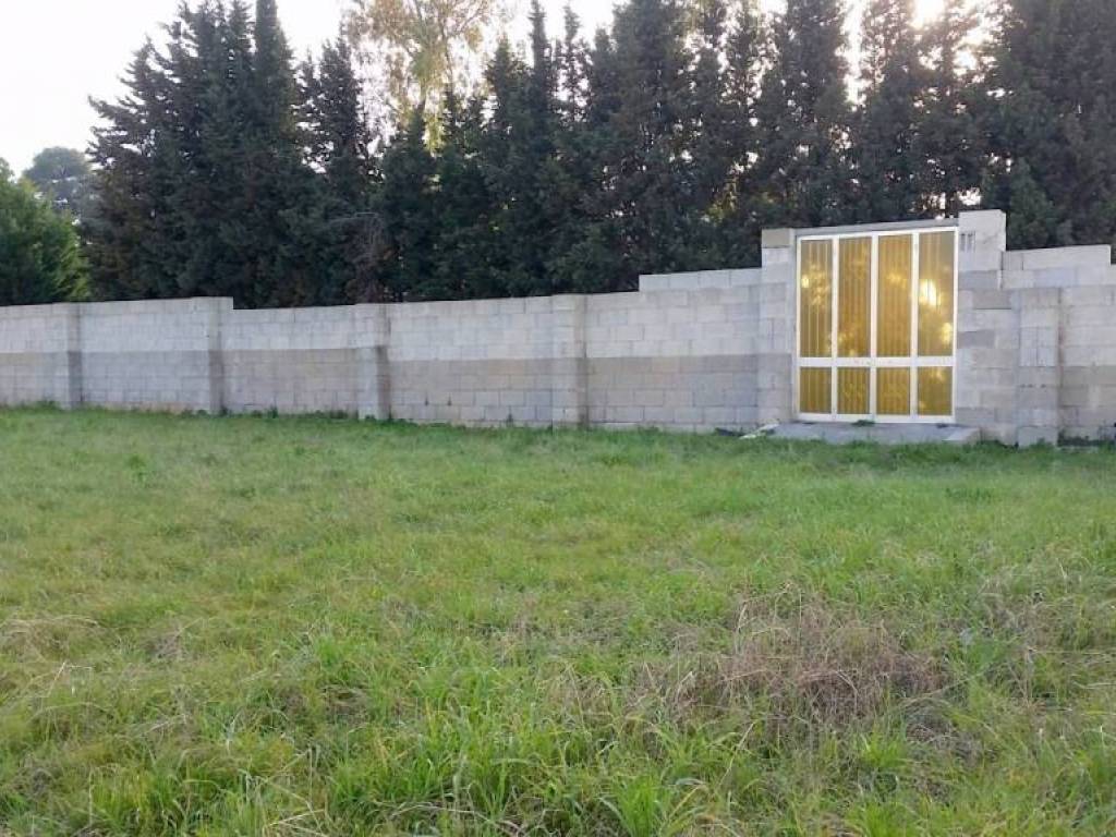 Terreno a Alessano - Foto 4