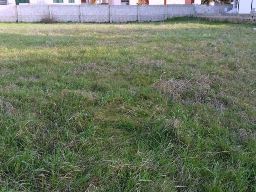 Terreno a Alessano - Foto 5