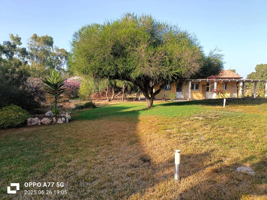 Villa a Solarussa in SP15 - Foto 3