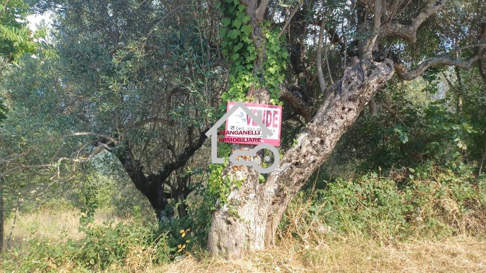Terreno a Cicerale in Via San Biase, 37 - Foto 2