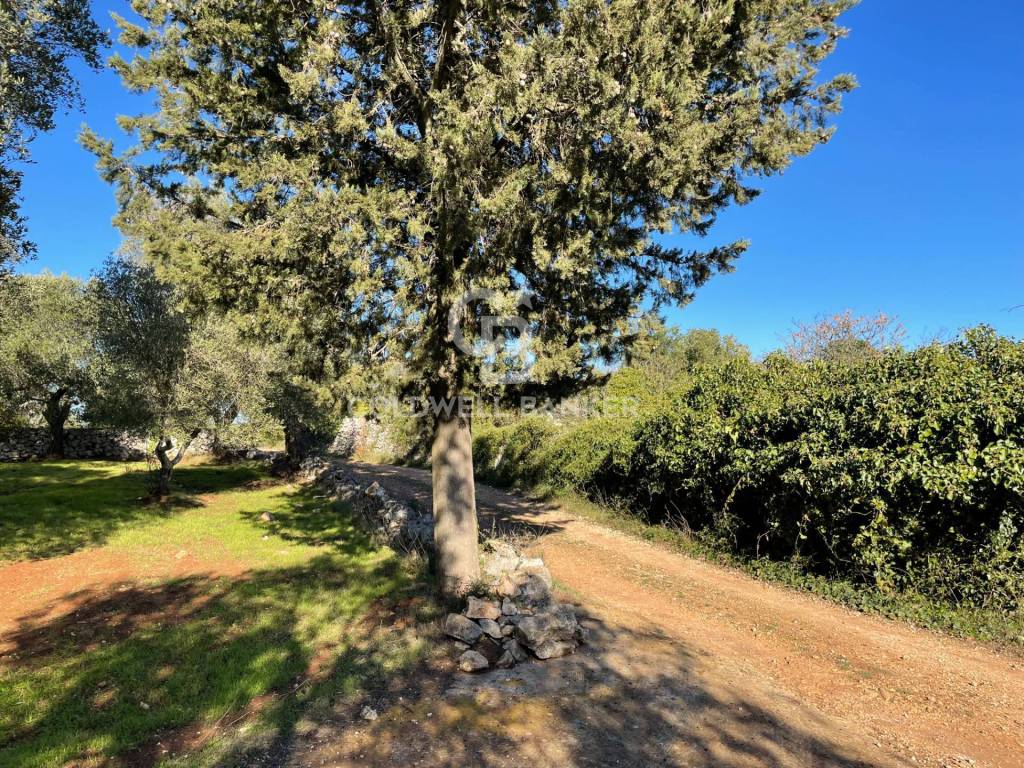 Rustico / casale a Ceglie messapica in C.da Fedele Piccolo - Foto 4