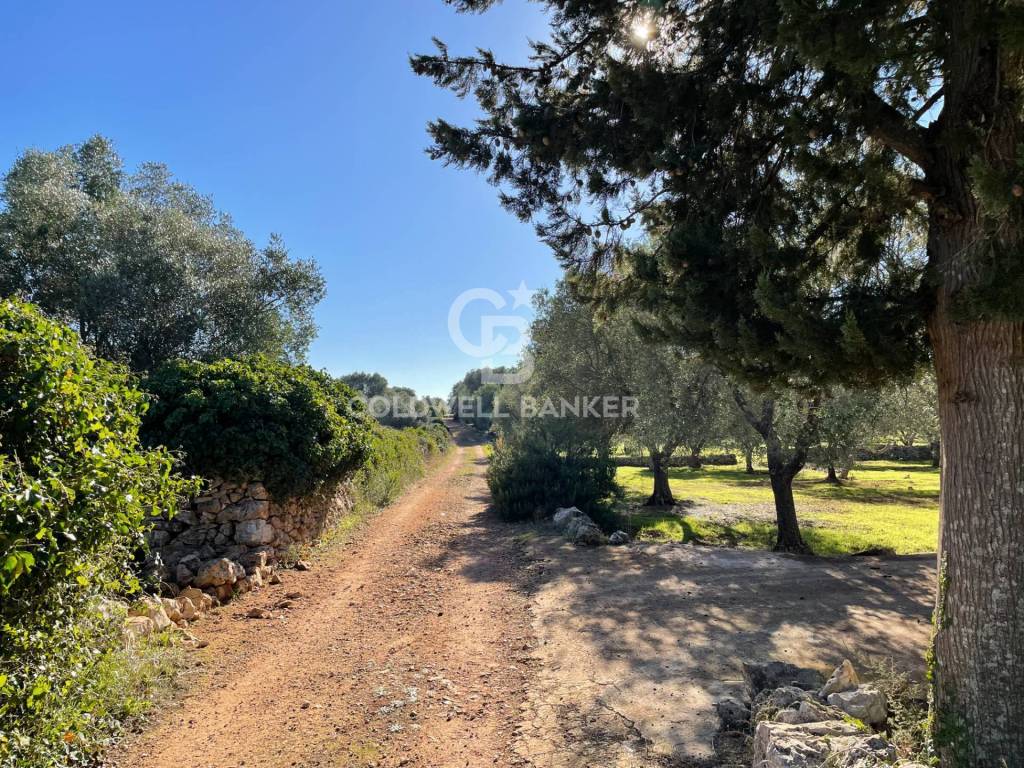 Rustico / casale a Ceglie messapica in C.da Fedele Piccolo - Foto 5