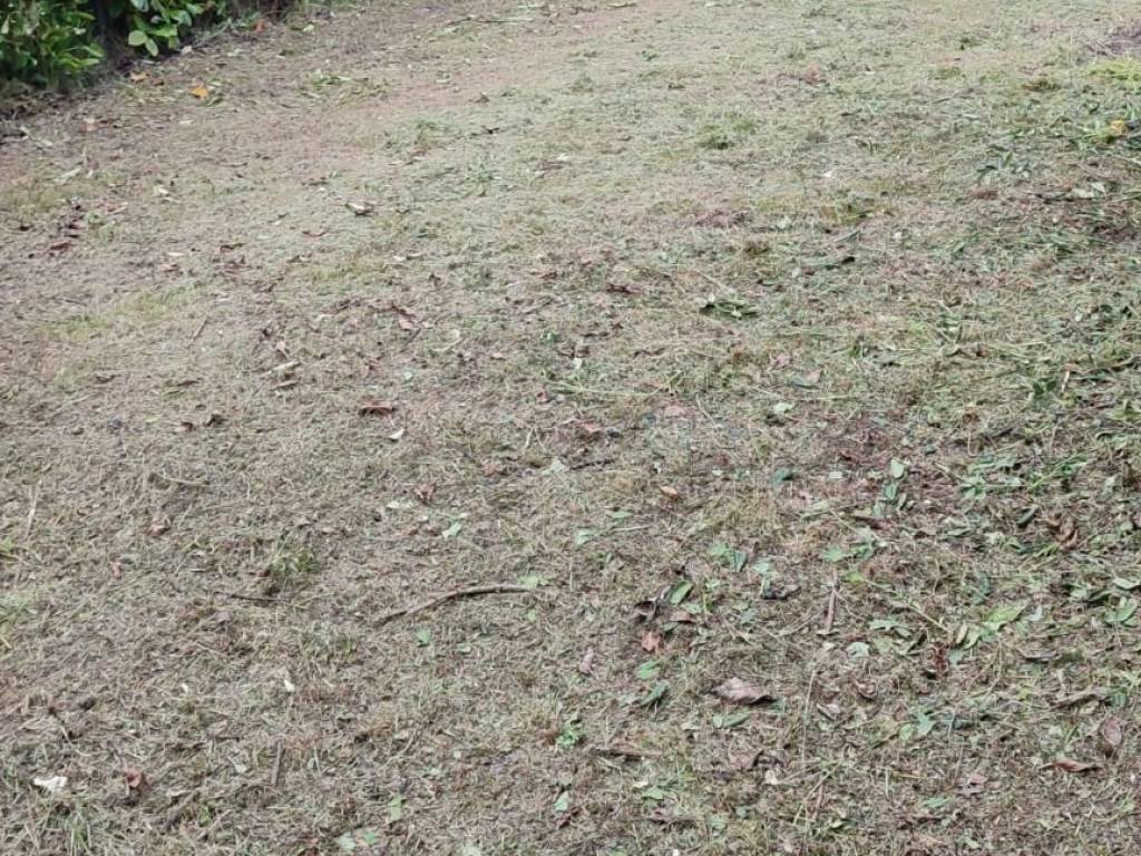 Appartamento a Rosignano marittimo in Via Aurelia - Foto 4