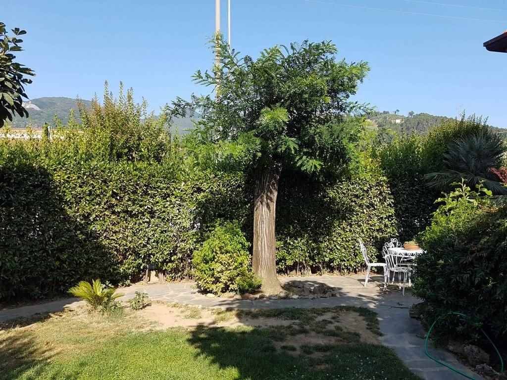 Villetta a schiera a Seravezza - Foto 4