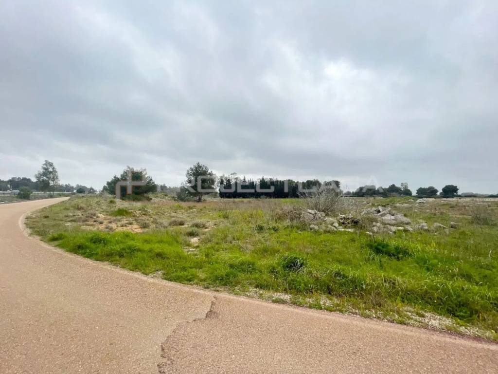 Terreno a Muro leccese in Via Pozzomauro - Foto 4