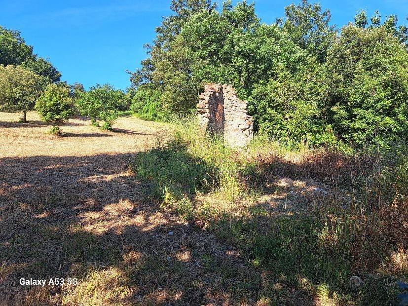 Terreno a Rosignano marittimo in Strada Provinciale del Vaiolo - Foto 2