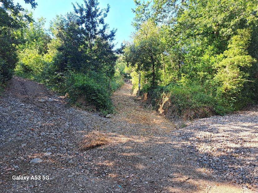 Terreno a Rosignano marittimo in Strada Provinciale del Vaiolo - Foto 3