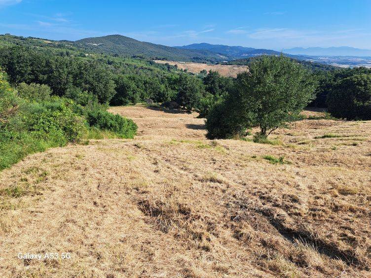 Terreno a Rosignano marittimo in Strada Provinciale del Vaiolo - Foto 4