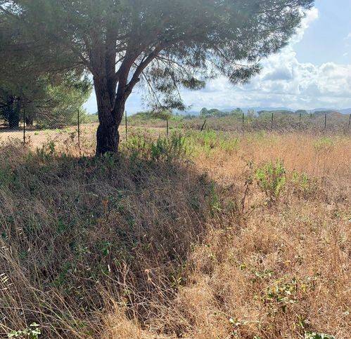 Terreno a Tarquinia in Località San Giorgio - Foto 3