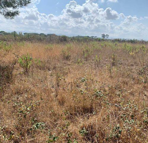 Terreno a Tarquinia in Località San Giorgio - Foto 4
