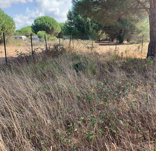 Terreno a Tarquinia in Località San Giorgio - Foto 5