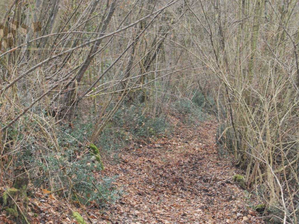 Terreno a Arcugnano - Foto 3