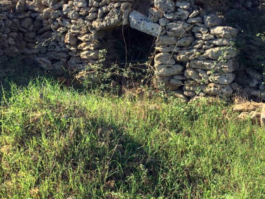 Terreno a Specchia - Foto 3