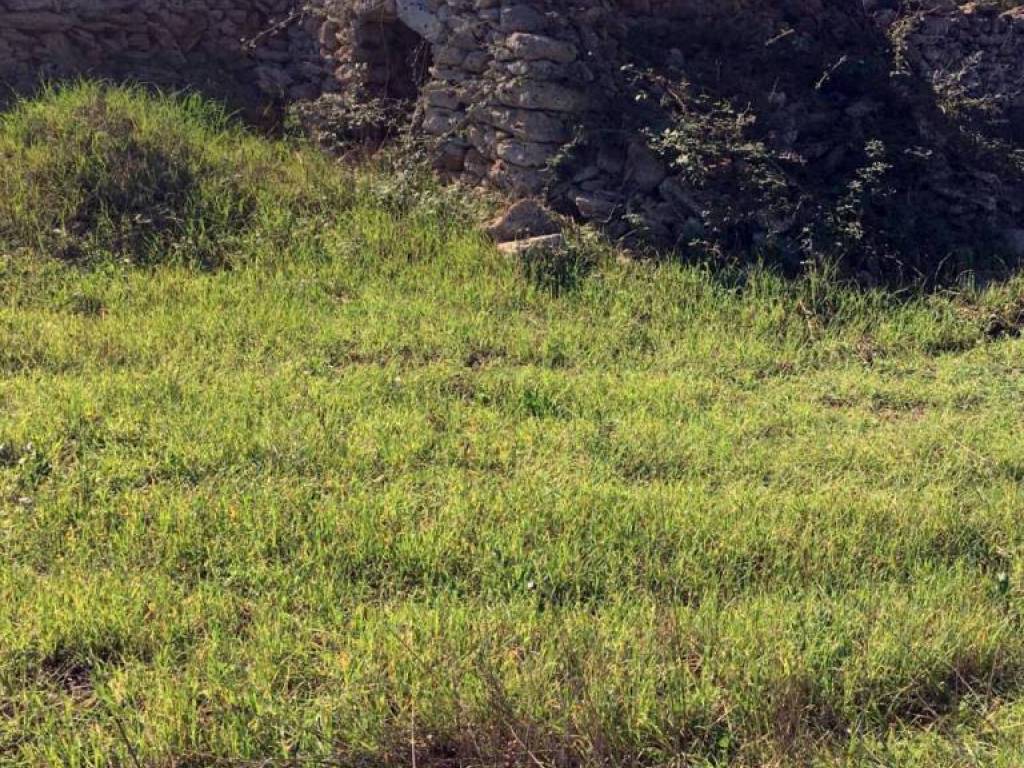 Terreno a Specchia - Foto 5