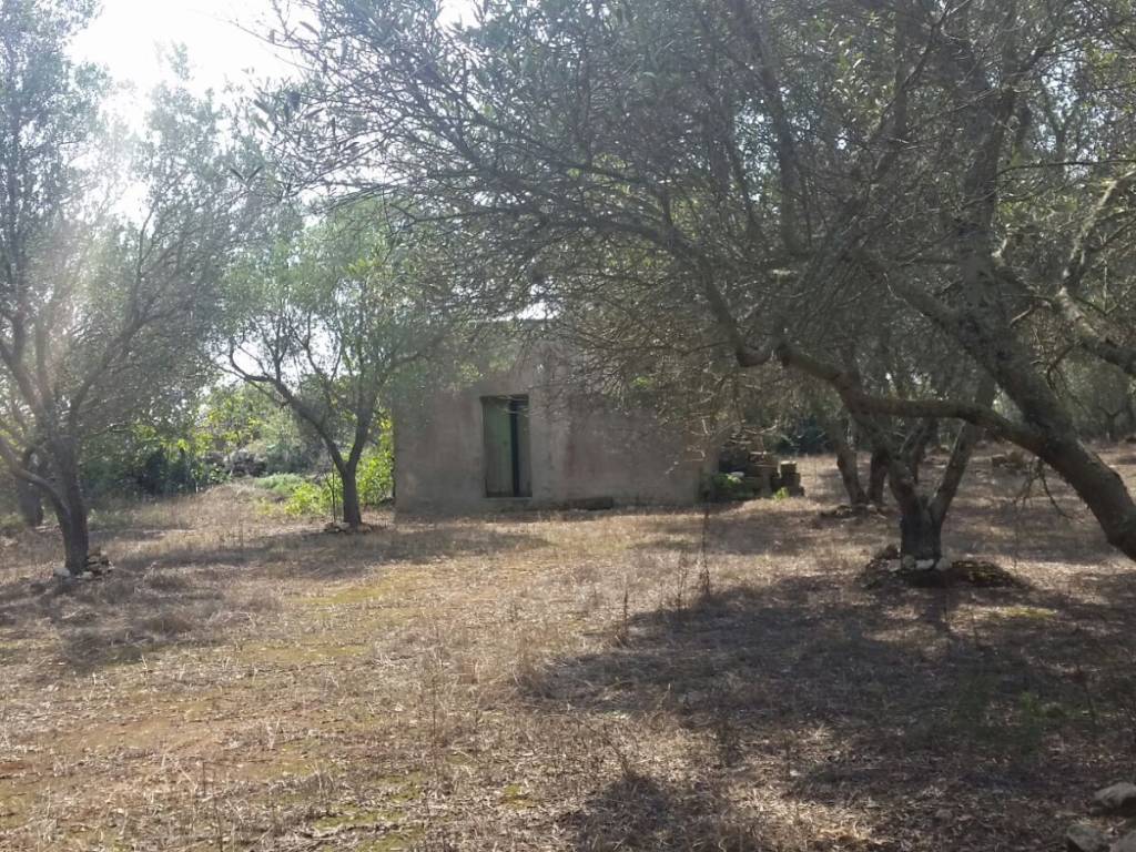 Rustico / casale a Tricase in SP358 - Foto 5