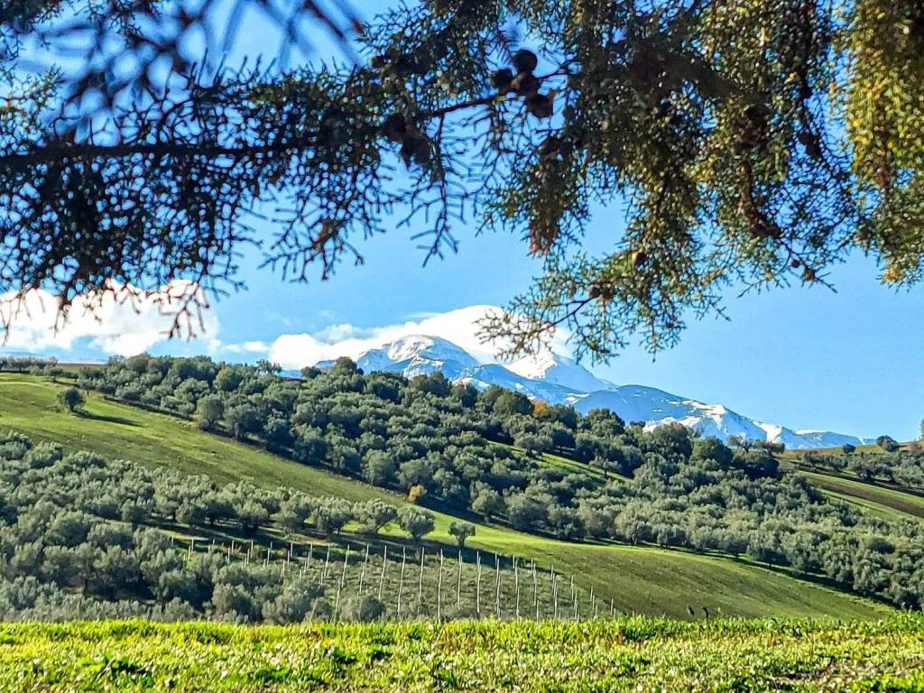 Villa a Sant'eusanio del sangro in Frazione Cotti - Foto 3