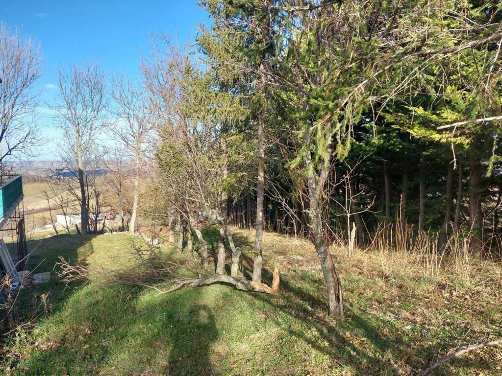 Villa a Torricella peligna in Via Saliera - Foto 5