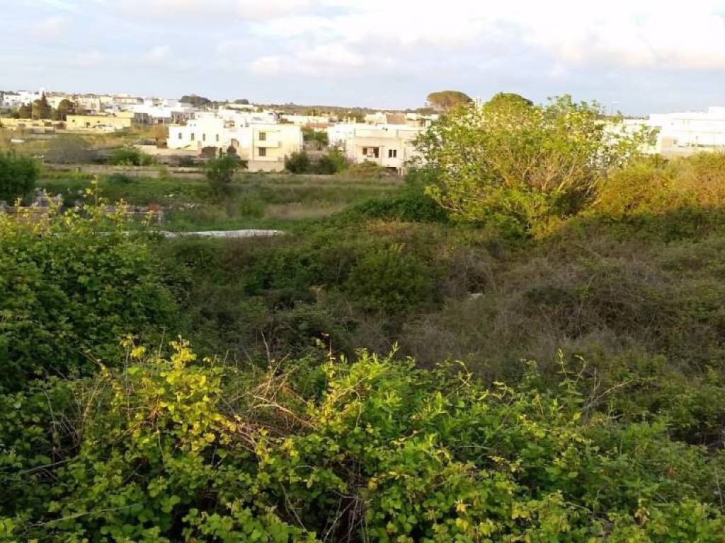 Terreno a Alessano in Strada Provinciale 242, 25 - Foto 2