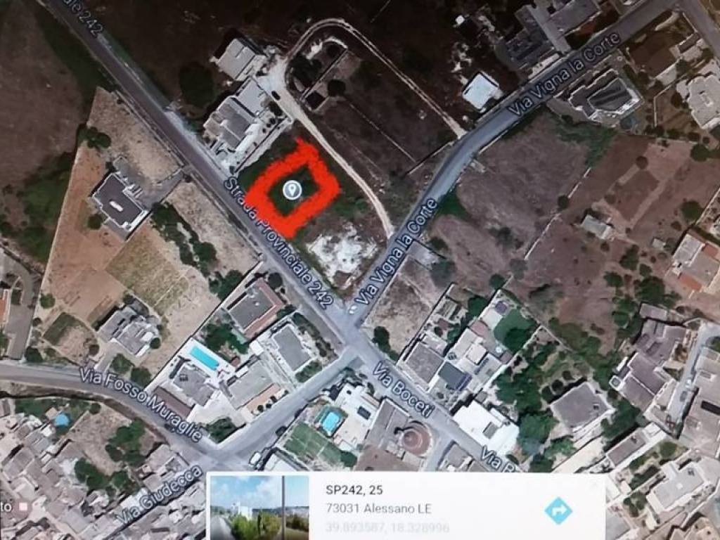 Terreno a Alessano in Strada Provinciale 242, 25 - Foto 4