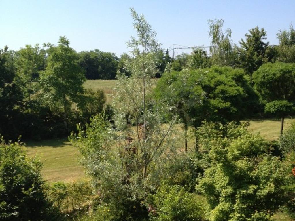 Villetta a schiera a Piacenza in Strada Agazzana - Foto 4