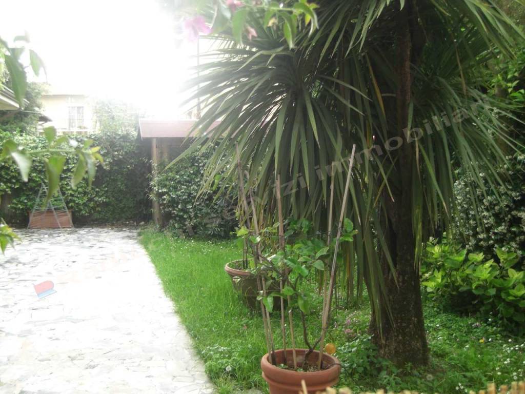 Casa indipendente a Forte dei marmi in Via F. Carrara, 37 - Foto 2