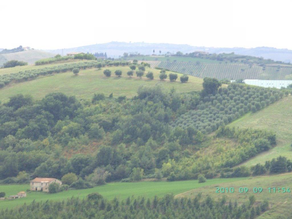 Rustico / casale a Offida - Foto 4