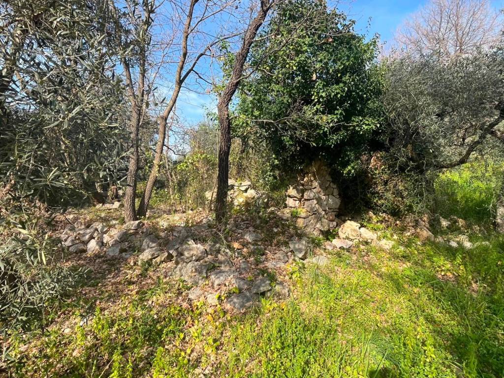 Rustico / casale a Fondi in Via Sagliutola - Foto 3