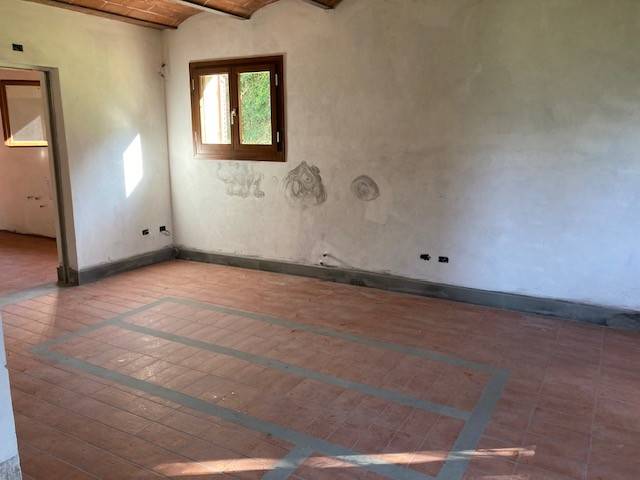 Rustico / casale a Castagneto carducci - Foto 5