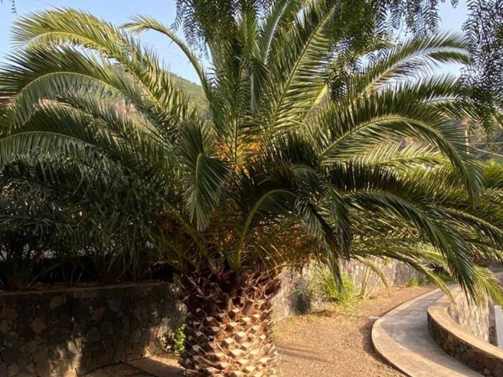 Villa a Malfa in Via Cavour, 2 - Foto 2