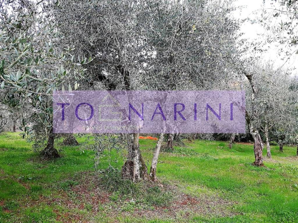 Rustico / casale a Marliana - Foto 4