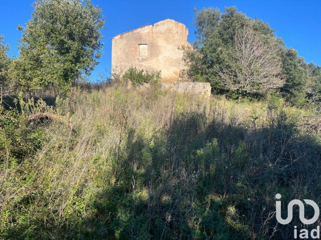 Terreno a Monterotondo marittimo in Via Monterotondo Marittimo - Foto 5