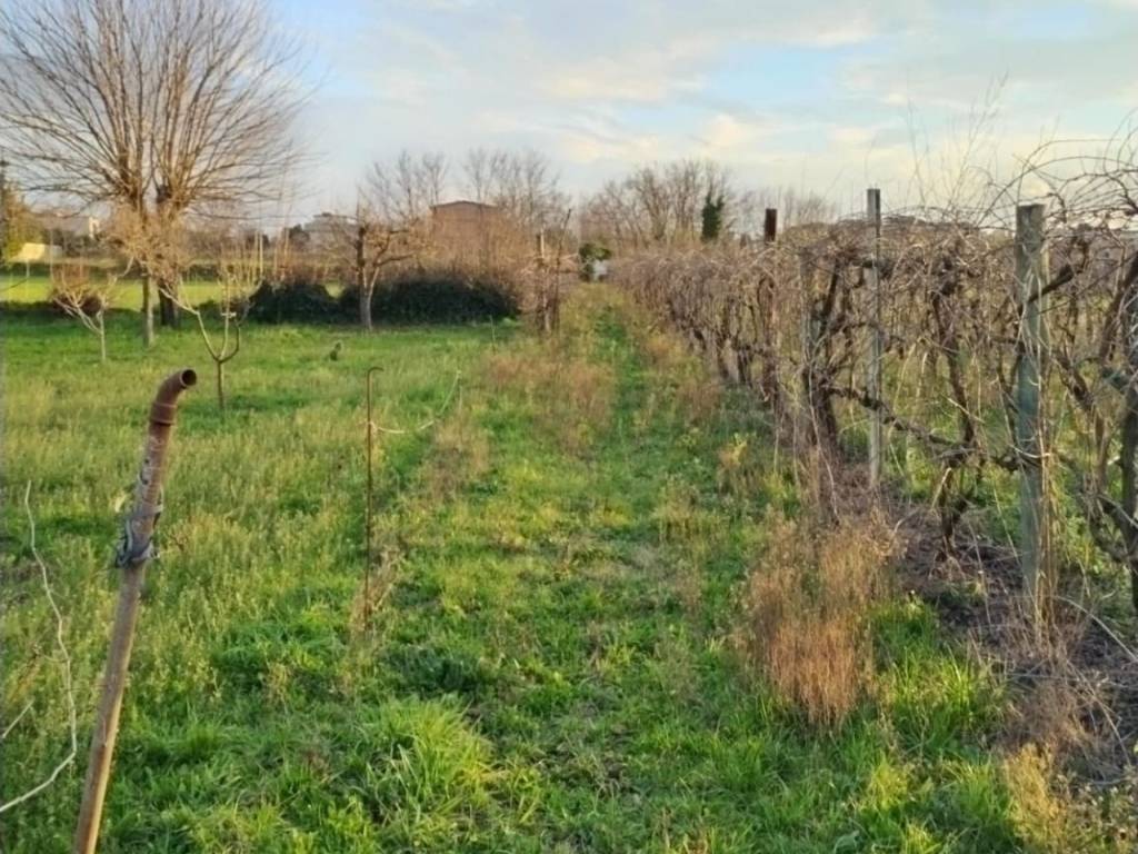 Terreno a Sant'antimo in Contrada limitone, 10 - Foto 3