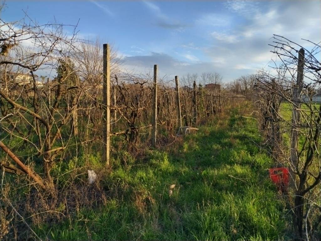 Terreno a Sant'antimo in Contrada limitone, 10 - Foto 4