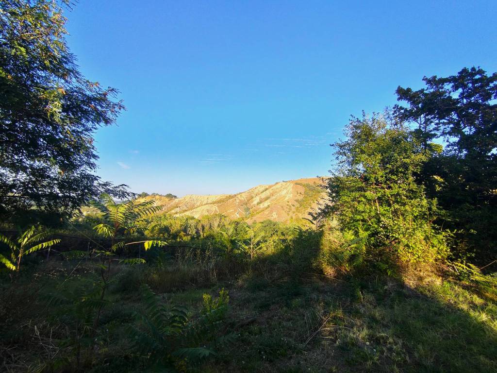 Rustico / casale a Brisighella - Foto 2