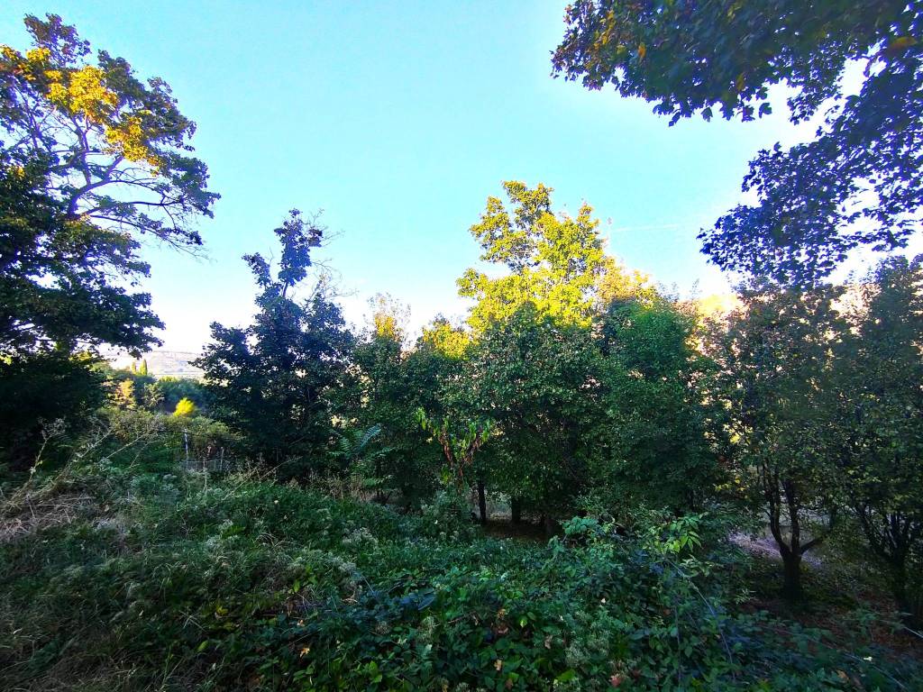 Rustico / casale a Brisighella - Foto 4