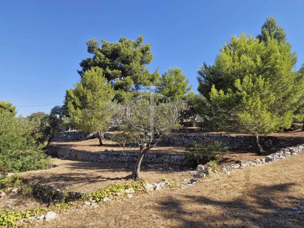 Rustico / casale a Fasano in Viale dei Colli - Foto 5