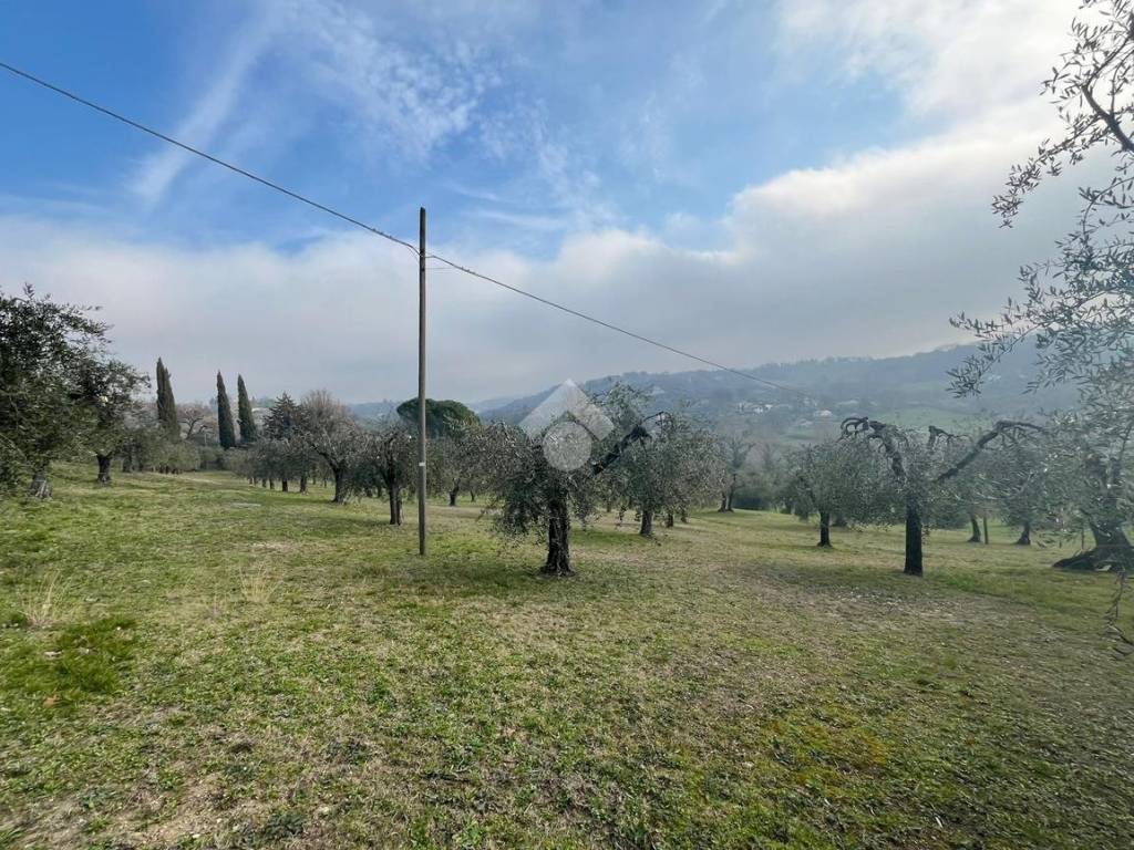 Terreno a Amelia in Strada di palazzone - Foto 2