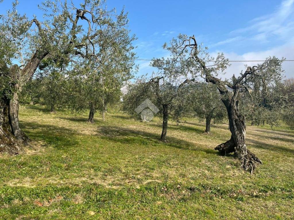 Terreno a Amelia in Strada di palazzone - Foto 3