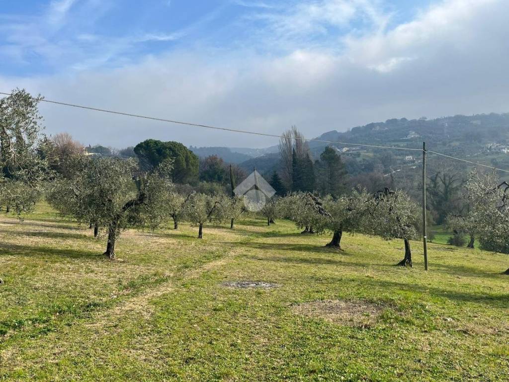 Terreno a Amelia in Strada di palazzone - Foto 5