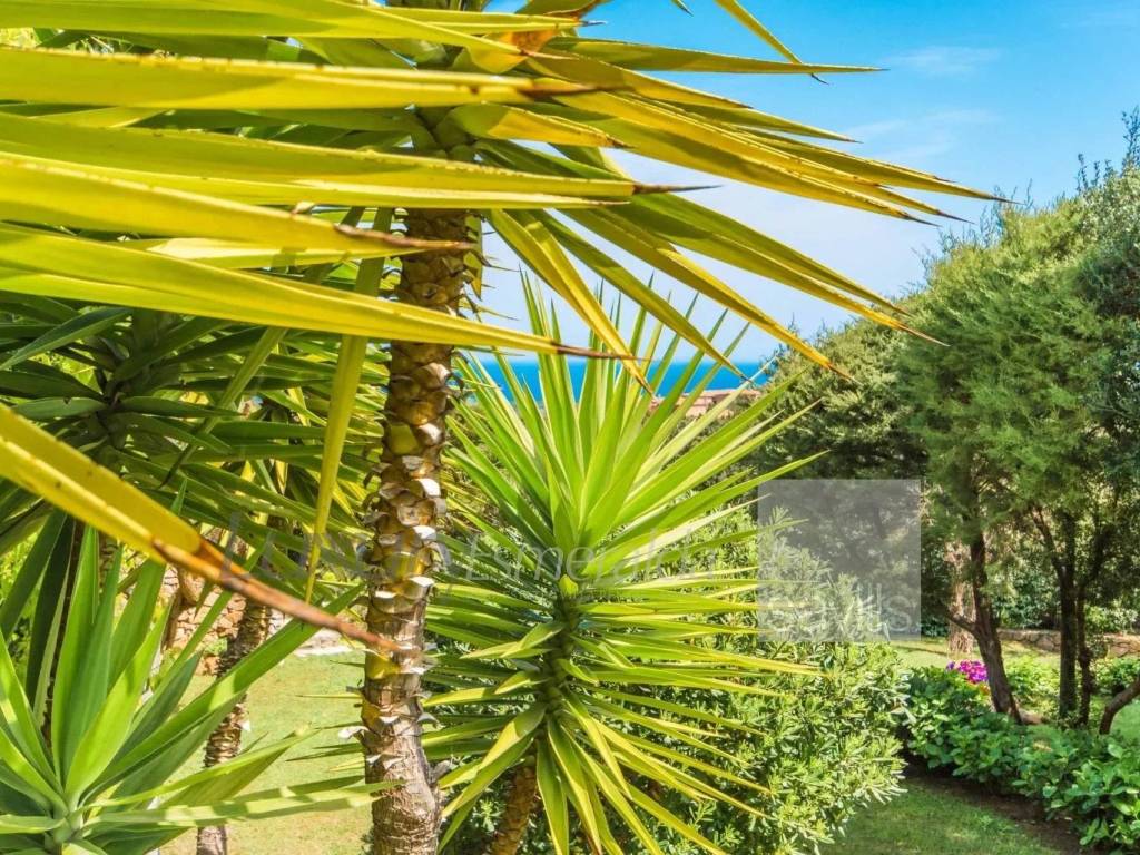 Villa a Arzachena in Pantogia, Porto Cervo - Foto 5