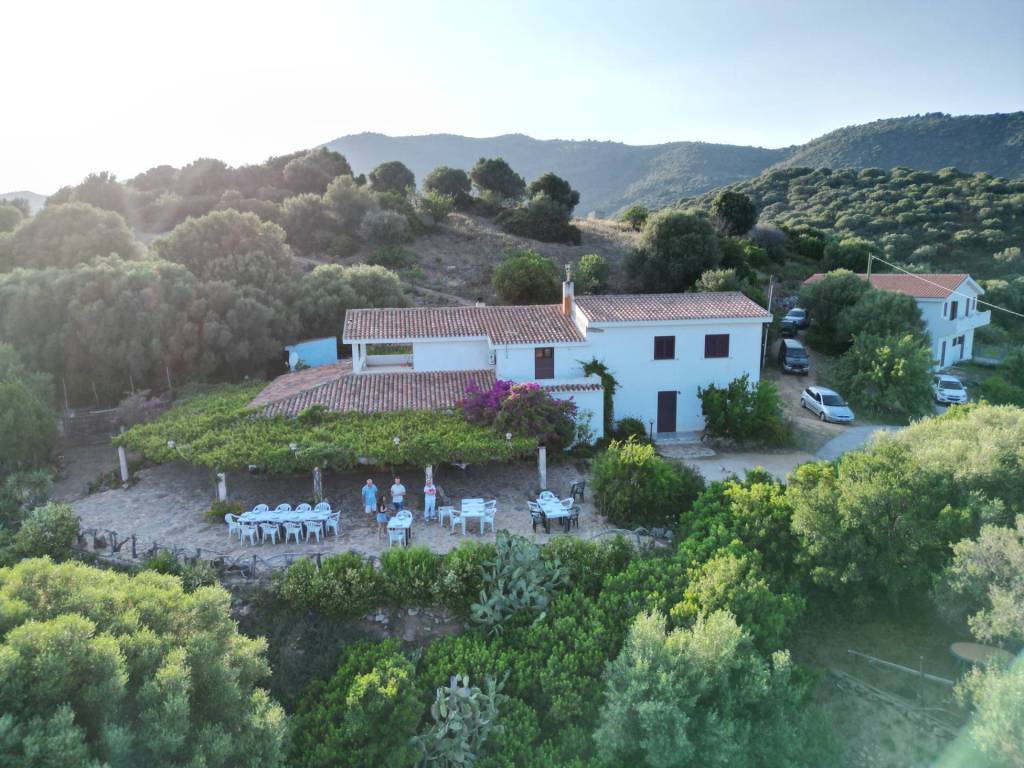 Immobile a Torpè in località Predas Rujas - Foto 3