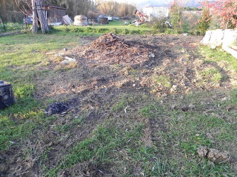 Casa indipendente a Camaiore - Foto 2