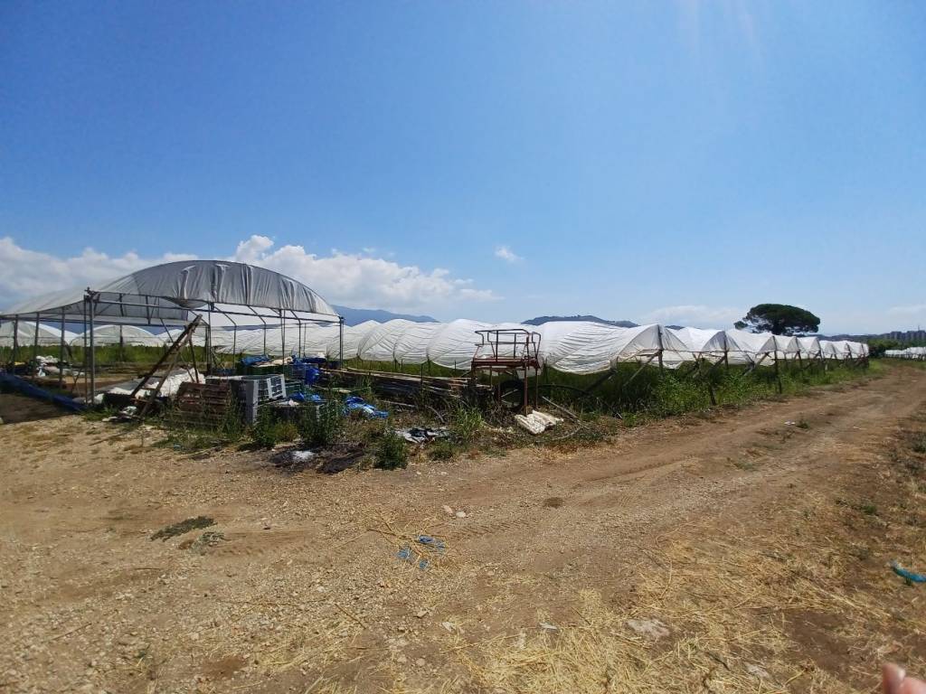 Terreno a Bellizzi in Via Antica - Foto 5