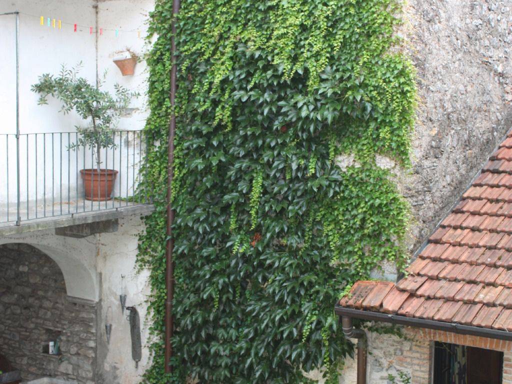 Rustico / casale a Orino - Foto 5