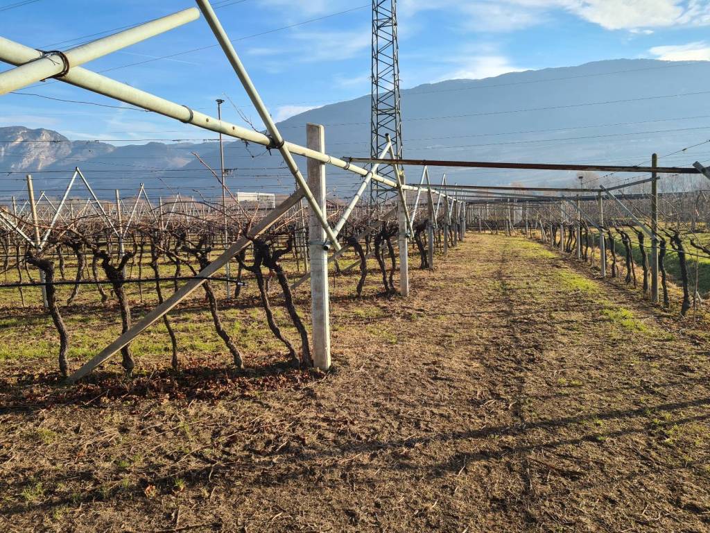 Terreno a San michele all'adige - Foto 3