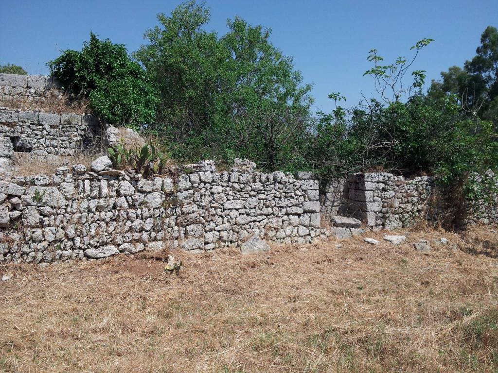 Terreno a Tricase - Foto 4