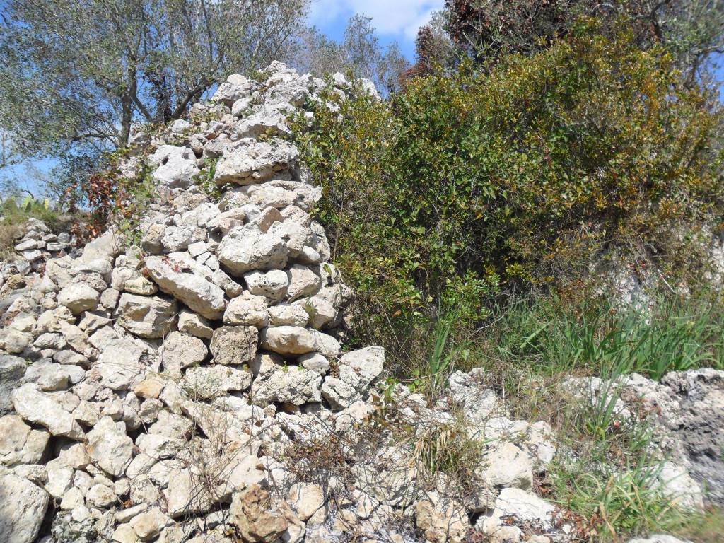 Terreno a Tricase - Foto 4