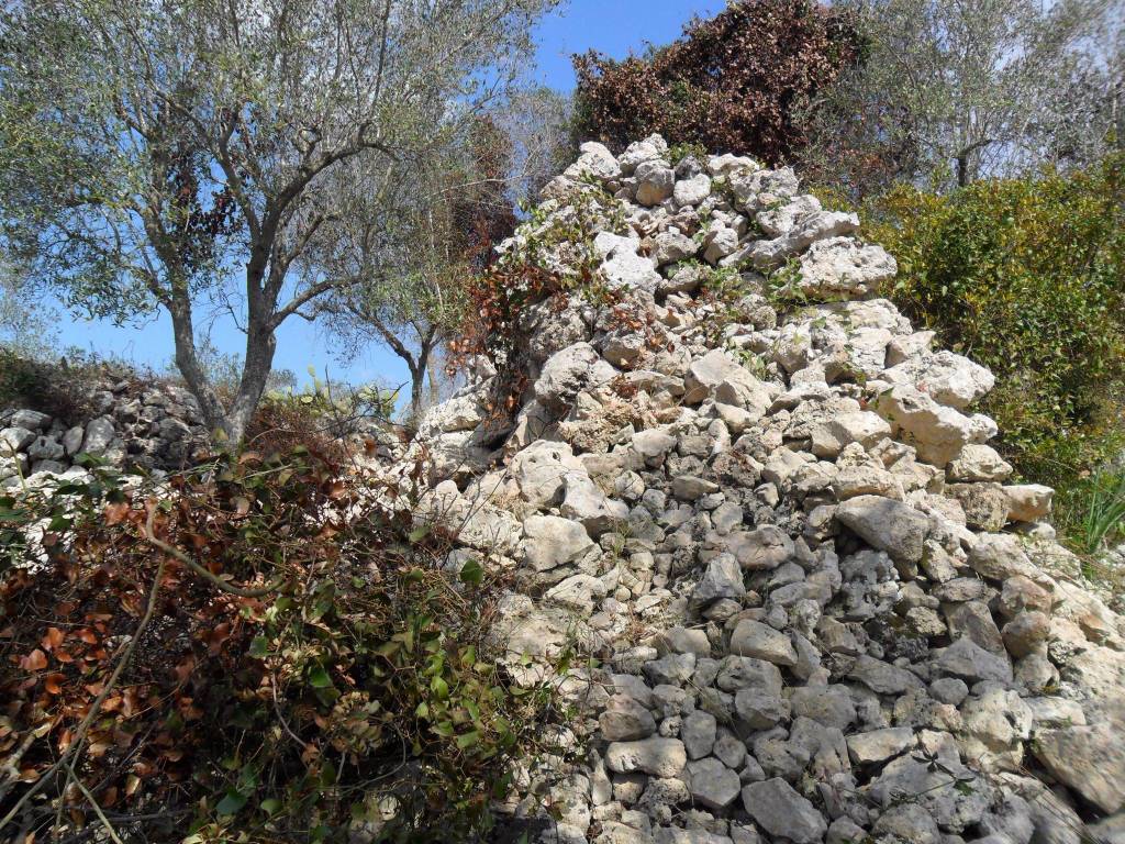 Terreno a Tricase - Foto 5