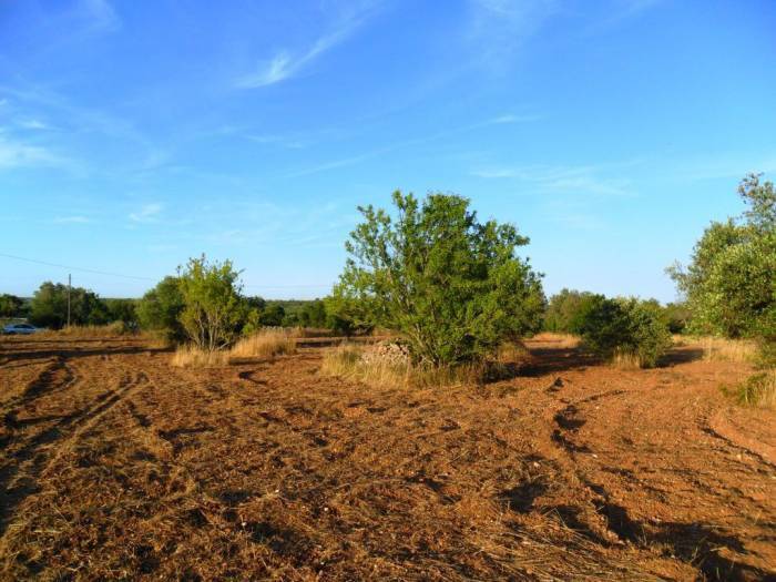 Terreno a Specchia - Foto 2