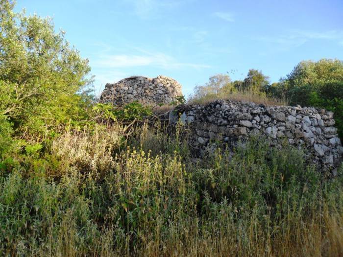 Terreno a Specchia - Foto 4